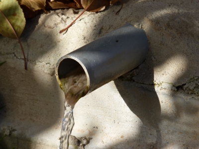 Fuente del Ardal I - imagen 5