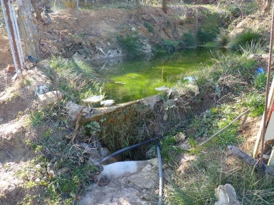 Fuente del Ardal I - imagen 8