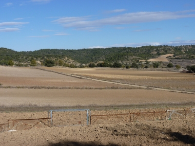 Fuente del Ardal I - imagen 9