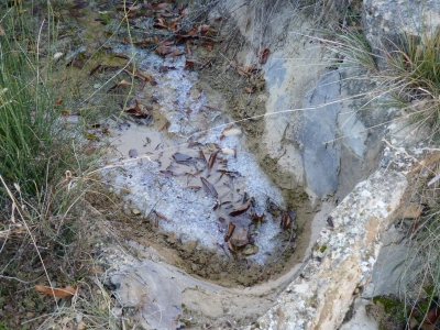 Fuente del Ardal II - imagen 3
