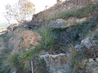 Fuente del Ardal II - imagen 4