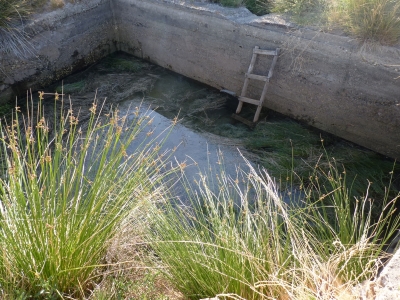 Fuente del Arroyo del Piojo - imagen 1