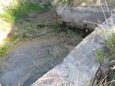 Fuente del Arroyo del Piojo - imagen 4