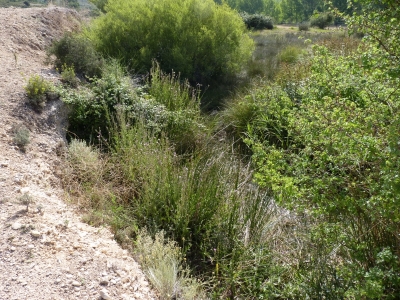 La Balsa - imagen 1