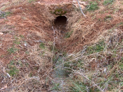 Fuente de la Burraca - imagen 1