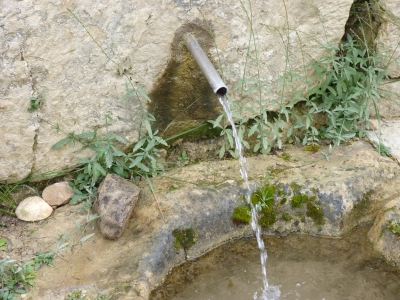 Fuente la Calzadilla - imagen 2