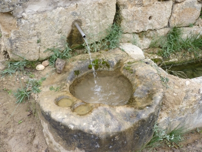 Fuente la Calzadilla - imagen 3