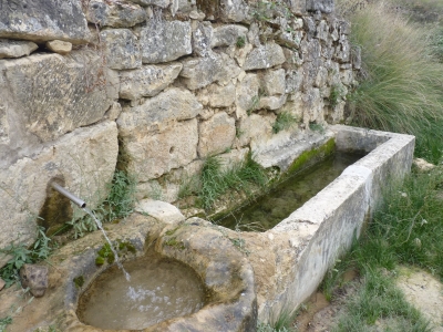 Fuente la Calzadilla - imagen 4
