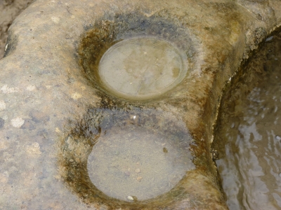 Fuente la Calzadilla - imagen 5