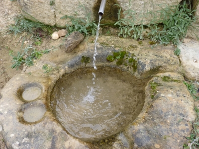 Fuente la Calzadilla - imagen 6