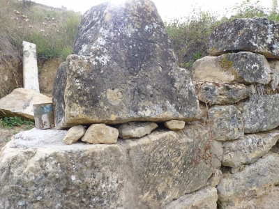 Fuente la Calzadilla - imagen 7
