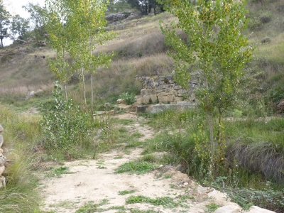 Fuente la Calzadilla - imagen 8