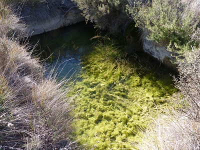 Fuente de la Cañá de los Hornos - imagen 1