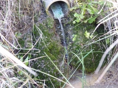 Fuente de la Cañá de los Hornos - imagen 3