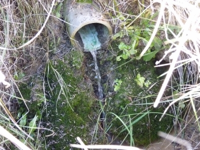 Fuente de la Cañá de los Hornos - imagen 4