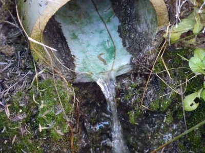 Fuente de la Cañá de los Hornos - imagen 5