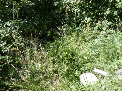 Fuente de las Casas de la Hortizuela - imagen 1