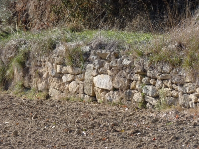Fuente la Cerca I - imagen 5