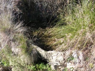 Fuente la Cerca II - imagen 1