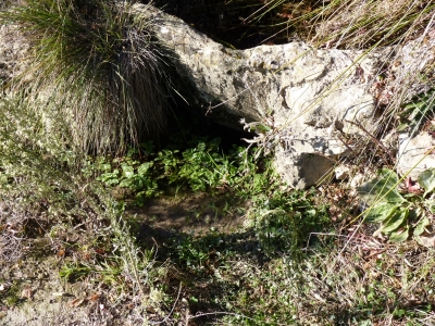 Fuente la Cerca II - imagen 2