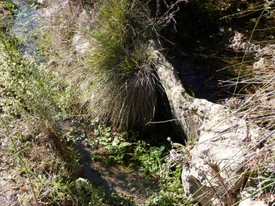 Fuente la Cerca II - imagen 3