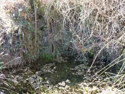 Fuente la Cerca II - imagen 5