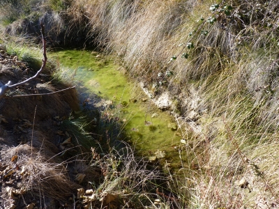 Fuente la Cerca III - imagen 1