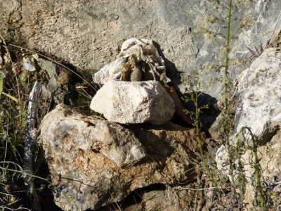 Fuente la Cerca III - imagen 7