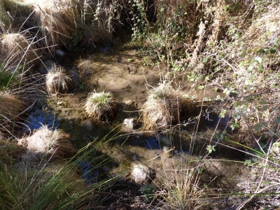 Fuente del Collarejo - imagen 3