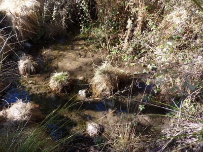Fuente del Collarejo - imagen 5