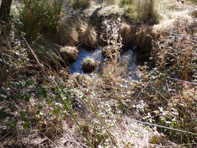 Fuente del Collarejo - imagen 6