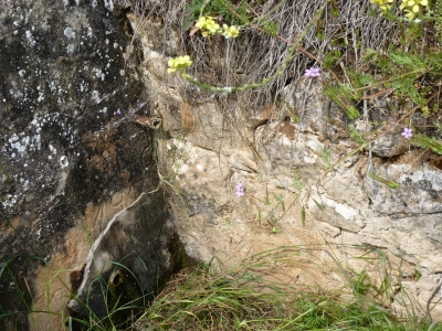 Fuente del Cubo - imagen 6