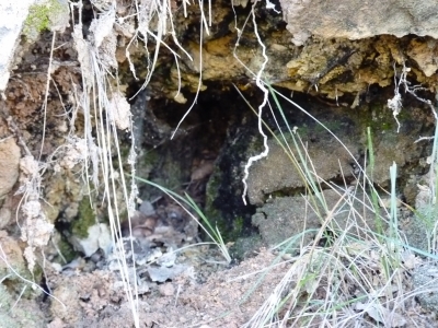 Fuente del Degolladero - imagen 5