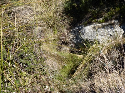 Fuente del Guijarro - imagen 1