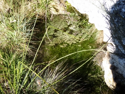 Fuente del Guijarro - imagen 4