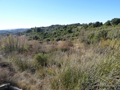 Fuente del Guijarro - imagen 5