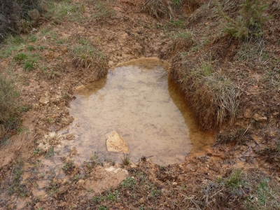 Fuente del Hontarrón - imagen 2