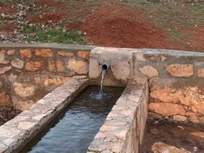 Fuente de las Hontecillas de Acá - imagen 1