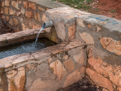 Fuente de las Hontecillas de Acá - imagen 3