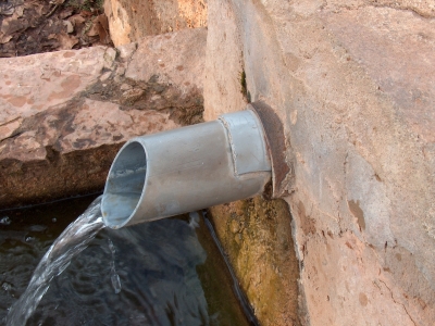 Fuente de las Hontecillas de Acá - imagen 5
