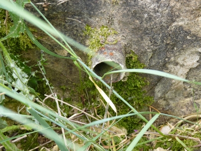 Fuente de la Huerta del Santo - imagen 2
