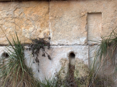 Fuente de la Huerta Rapa - imagen 4