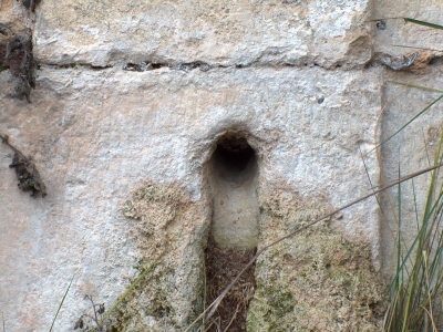 Fuente de la Huerta Rapa - imagen 5