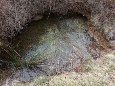 Fuente de la Huerta Rapa - imagen 10
