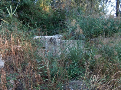 Fuente de los Huertos de la Abengózar I - imagen 1