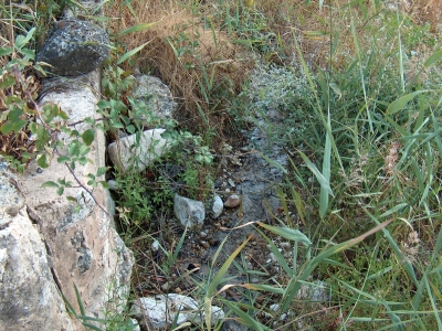 Fuente de los Huertos de la Abengózar I - imagen 3