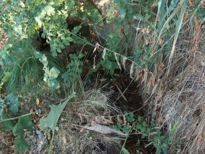 Fuente de los Huertos de la Abengózar Ii - imagen 1