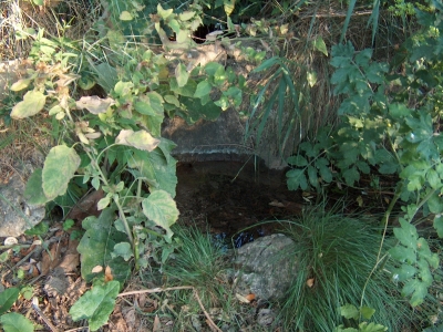 Fuente de los Huertos de la Abengózar Ii - imagen 2