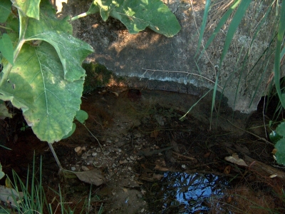 Fuente de los Huertos de la Abengózar Ii - imagen 3