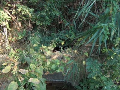 Fuente de los Huertos de la Abengózar Ii - imagen 4